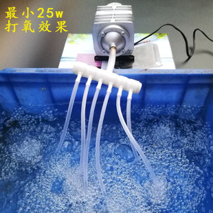 家用22s0v特强增氧泵户外小型增痒机大功率防溅水 鱼池养鱼蒸养机