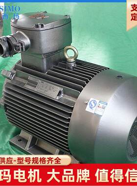 ITYP5-132C4211工频西玛牌低压永磁交流电动机TYP5-137S.5WH级绝