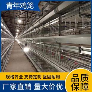 養(yǎng)殖設(shè)備養(yǎng)殖場用鴿子籠鵪鶉籠廠家 自動化層疊青年雞雞籠立式