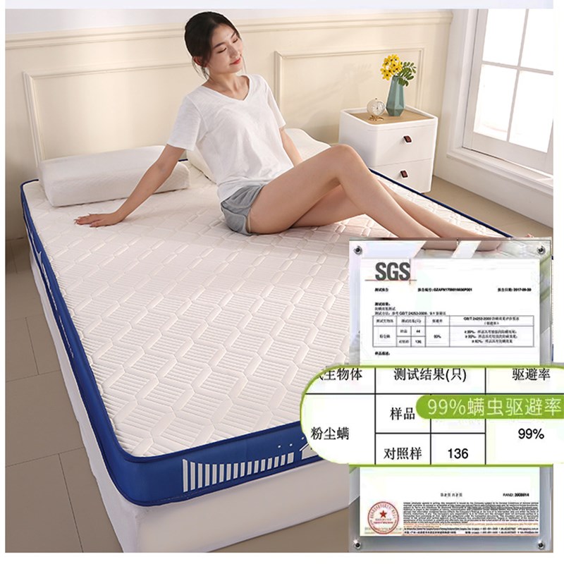 2025新款乳胶榻榻米床垫软垫家用卧室儿童学生宿舍单人记忆棉海棉