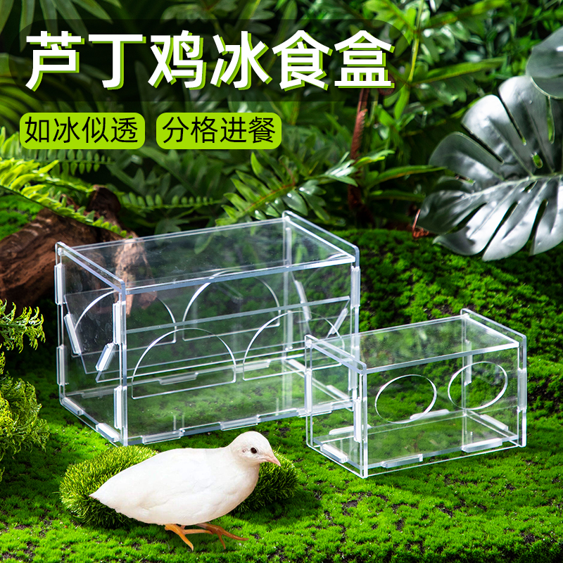 芦丁鸡喂食器食槽亚克力防洒防溅喂食盒芦丁鸡喂食台饲料盒喂水器