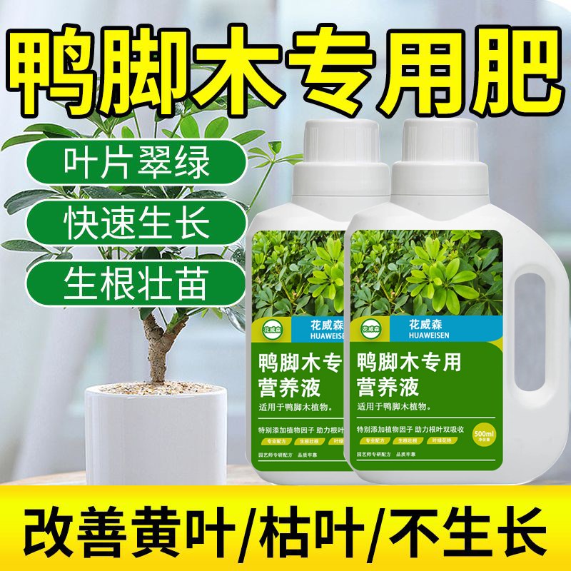 鸭脚木专用营养液鸭掌木专用肥鹅掌木室内绿叶盆栽通用水溶液体肥