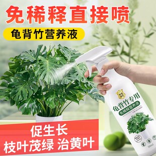 龟背竹营养液免稀释黄叶锈斑专用肥水培植物肥料叶面肥液体肥
