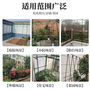 爬藤架花架月季豆角番茄葡萄架子植物支撑架包塑钢管藤蔓攀爬支柱