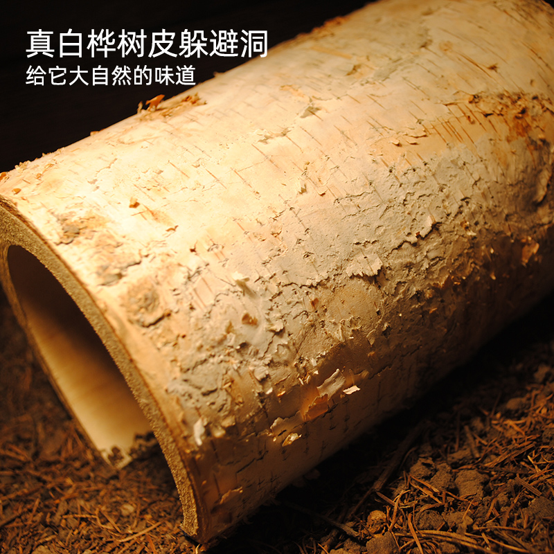 实木白桦树松木爬宠躲避洞鬃狮爬虫守宫蛇实木造景仓鼠刺猬躲藏屋