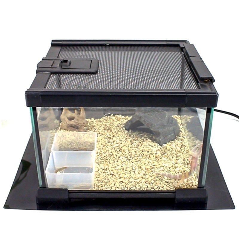 爬宠加热垫鱼缸守宫乌龟蛇爬虫蜥蜴宠物饲养箱自动恒温控温保温盒,宠物/宠物食品及用品,爬宠缸/箱,淘宝优惠券,粉丝福利购,淘宝优惠卷
