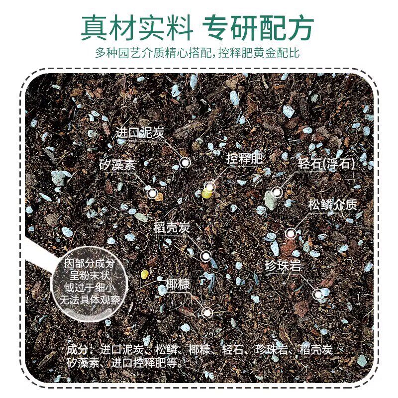 虹越花彩师种球根植物专用营养土百合朱顶红通用种球介质种植土壤,鲜花速递/花卉仿真/绿植园艺,介质/营养土,淘宝优惠券,粉丝福利购,淘宝优惠卷