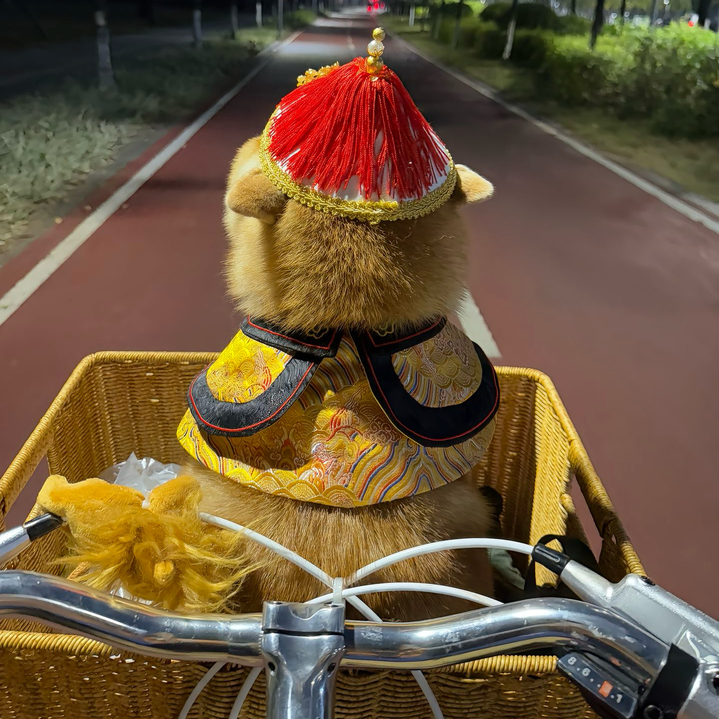 新款2025大王皇帝服猫咪衣服可爱王爷装小型犬帽子猫狗通用套装