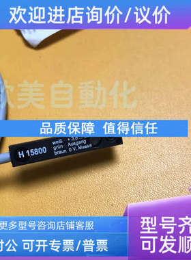 议价Binsack Reedtechnik传感器 H15800 磁性开关 15800C