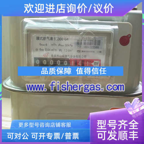 议价限时抢购重庆山城G4皮膜表G4燃气表家用皮膜表低压计量表