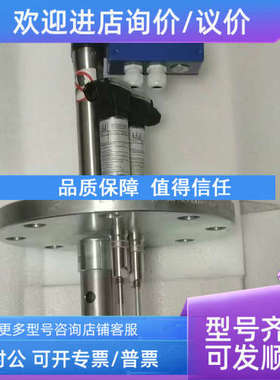 议价GESTRA NRG16-39S 水平电极 2x NRG16-11 + 1x NRGT 26-1 H90