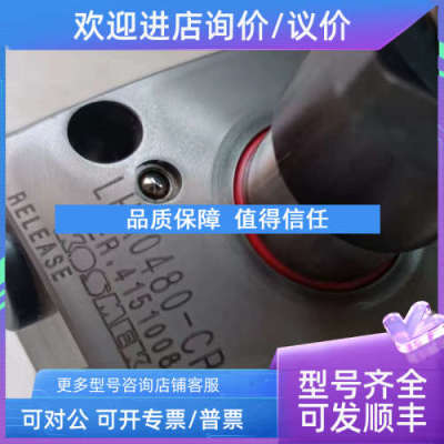 议价WASINO流量计 UOK13F-20A