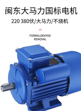 5262号大型电动绞肉碎骨机绞鸡鸭机绞鱼机打辣椒机养殖用纯铜电机