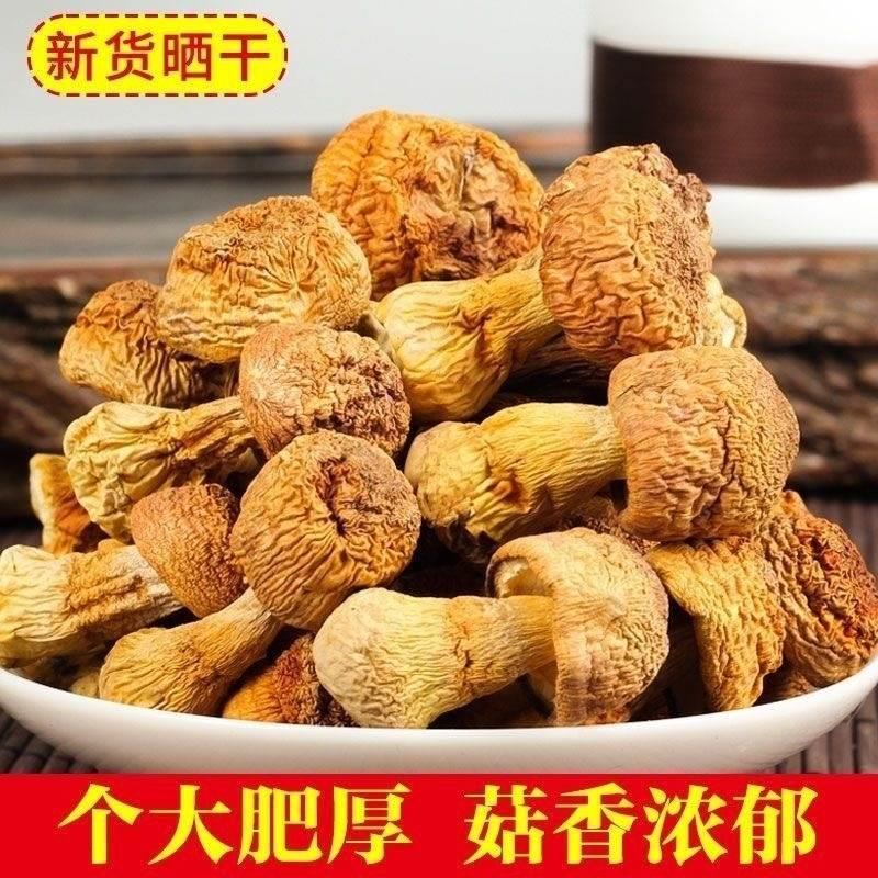 巴西菇蘑菇精选500g包邮姬松茸干货松茸菌云南野生菌松茸菇鹿茸菇