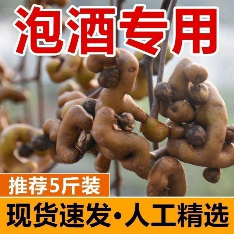 野生新鲜带枝干拐枣水果生吃万寿果泡酒煮茶鸡爪果金钩梨