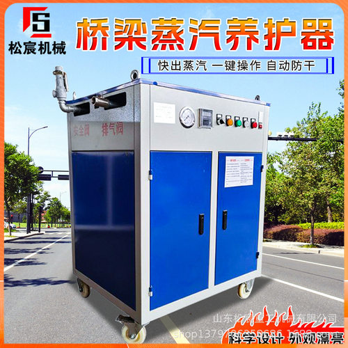 桥梁蒸汽养护器全自动工业燃油锅炉冬季梁场取暖加热设备