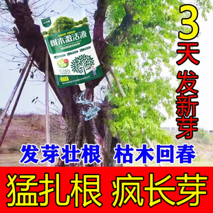 大树营养液吊针袋生根激活液树木移栽桂花枯树急救液吊瓶生根水