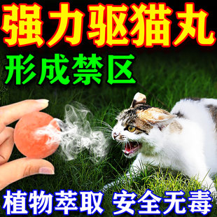 驱猫樟脑丸室外长效强力除赶特效柑橘汽车防乱拉乱尿叫药香薰喷雾
