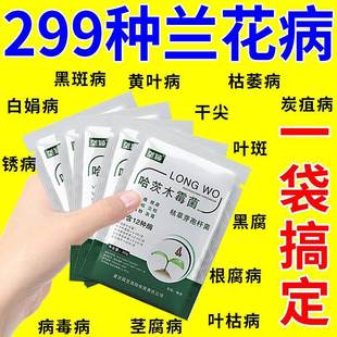 兰花专用杀菌药治黄叶焦尖黑斑病叶斑炭疽病白粉病百菌灵花卉肥料