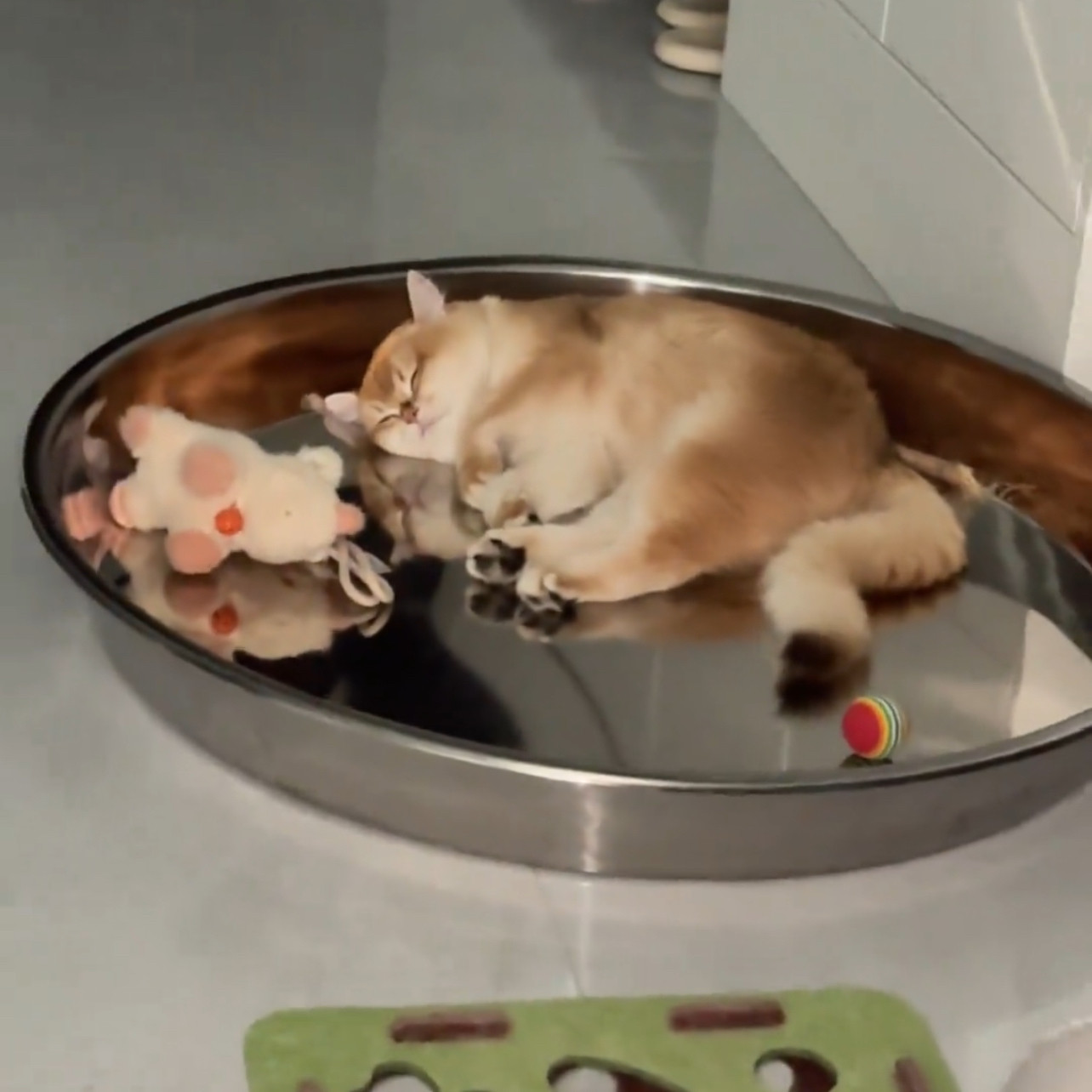 铝制小猫凉锅散热睡觉新款个性抽象降温神器猫咪夏季铝盆猫窝