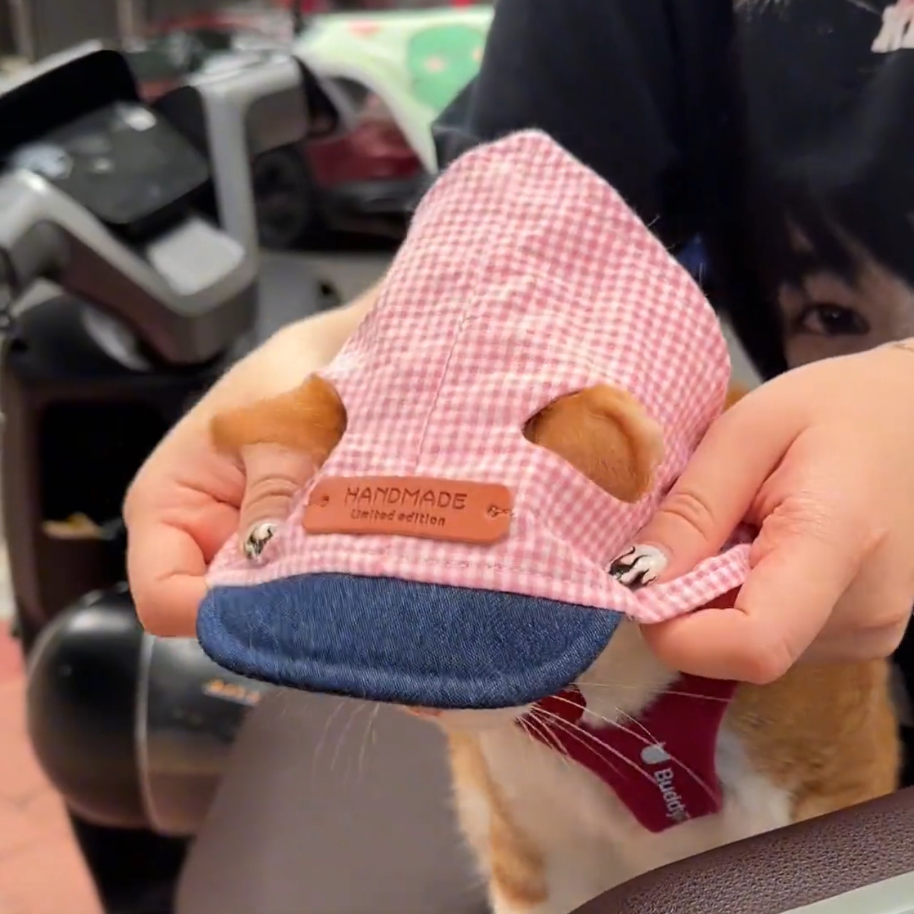宠物猫衣服斯芬克斯德文韩系cos爱豆头巾遮阳防晒帽可爱气质