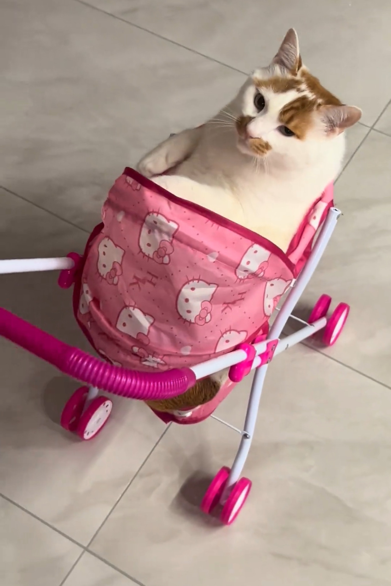 卡通小猫咪粉色办家家推车玩具带洋娃娃发声光宝宝婴儿小手推车