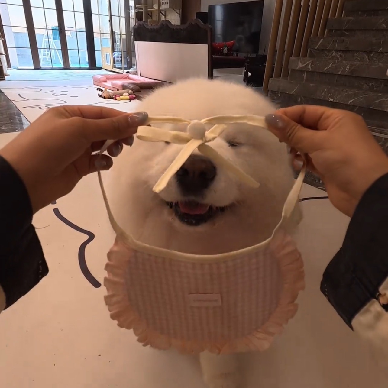 口水巾粉色格子新款2026狗狗猫咪大型犬通用围兜猫狗可爱