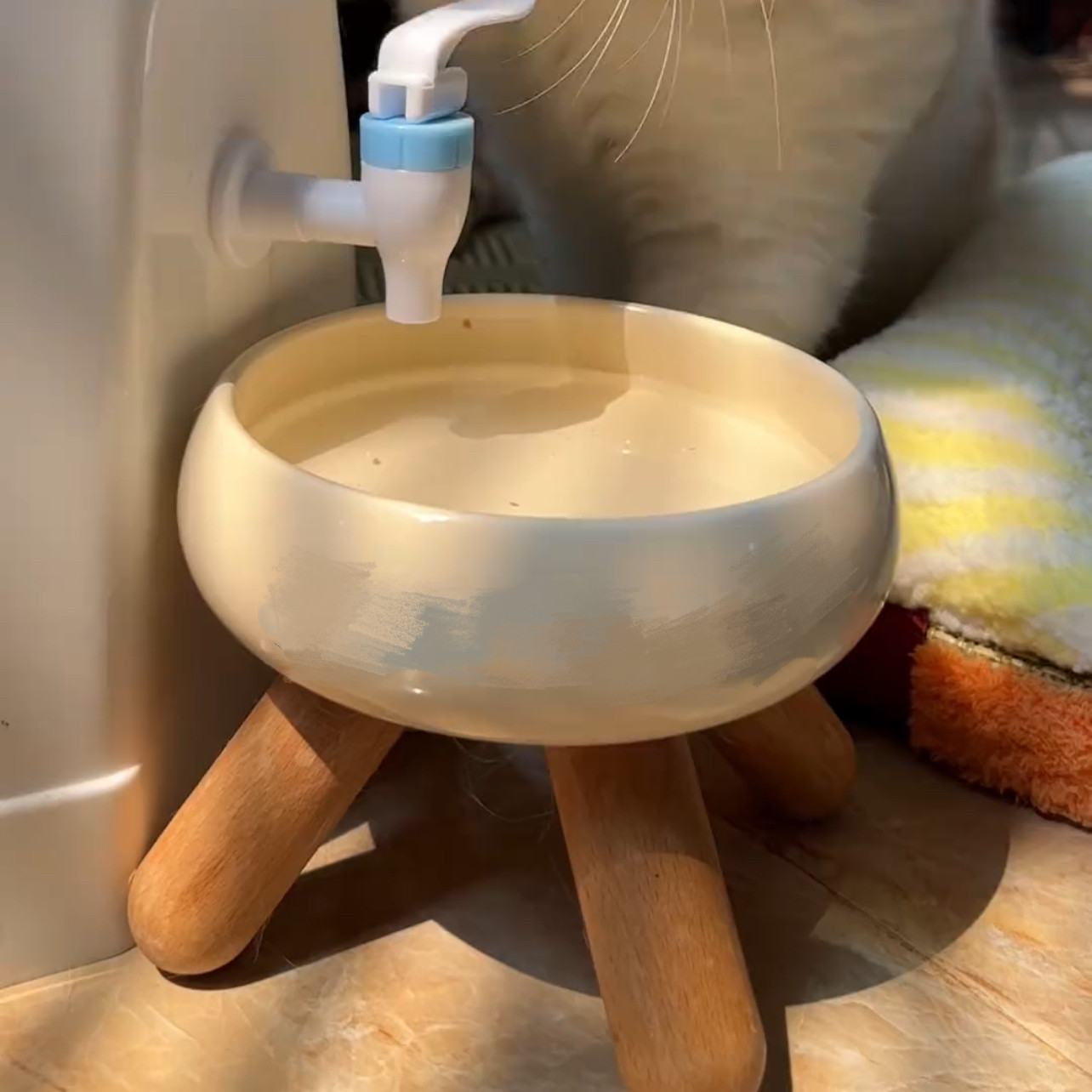 猫咪粮碗水碗宠物碗陶瓷新款2026奶油白狗猫喂食碗护颈猫碗