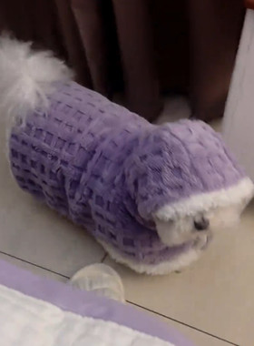 小狗猫咪吸水外出防风保暖连帽斗篷狗狗衣服小型犬秋冬季小方格