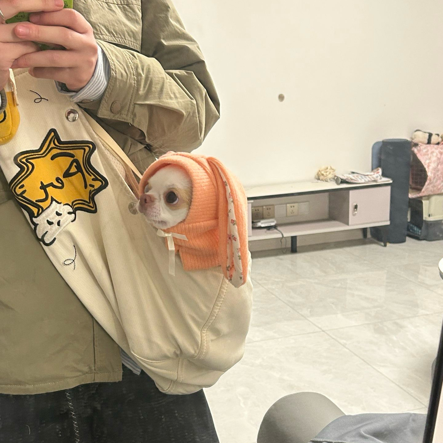 斜挎包携带宠物出行便携式包包可爱小型犬猫咪通用2026宠物用品
