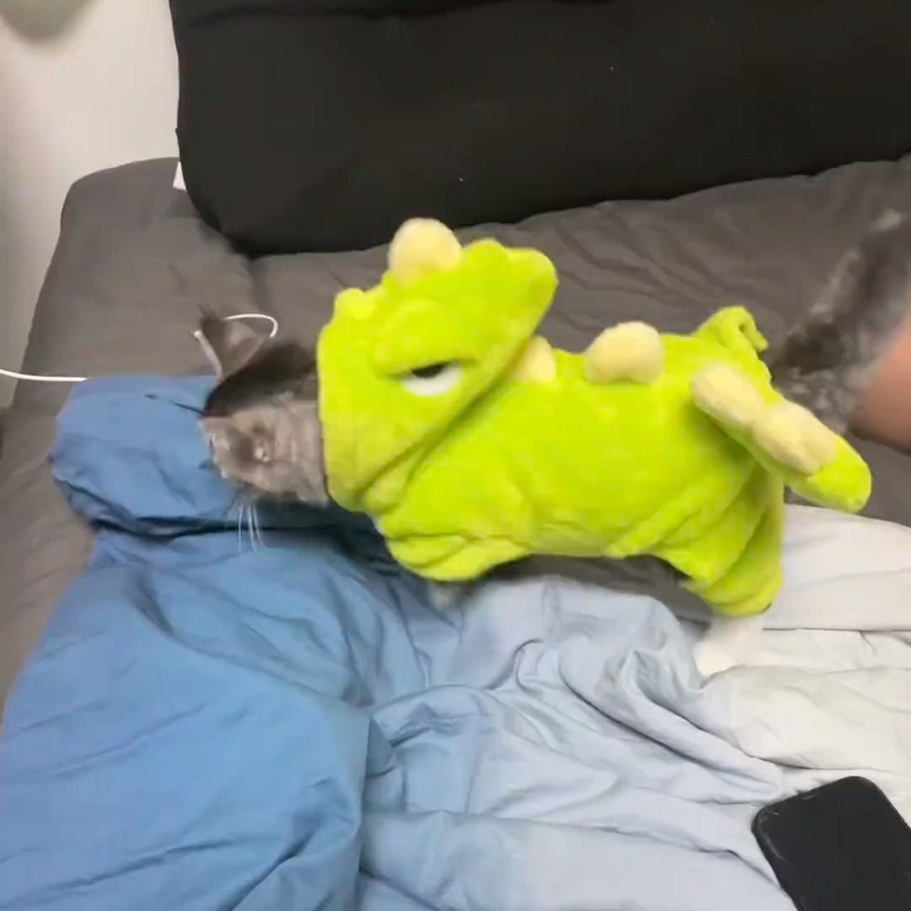秋冬装新款衣小型犬小恐龙2026四脚牵引宠物可爱狗狗猫咪衣服