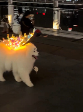 新款精美森系天使灯光电动翅膀发光公主花仙子机械精灵翅膀宠物