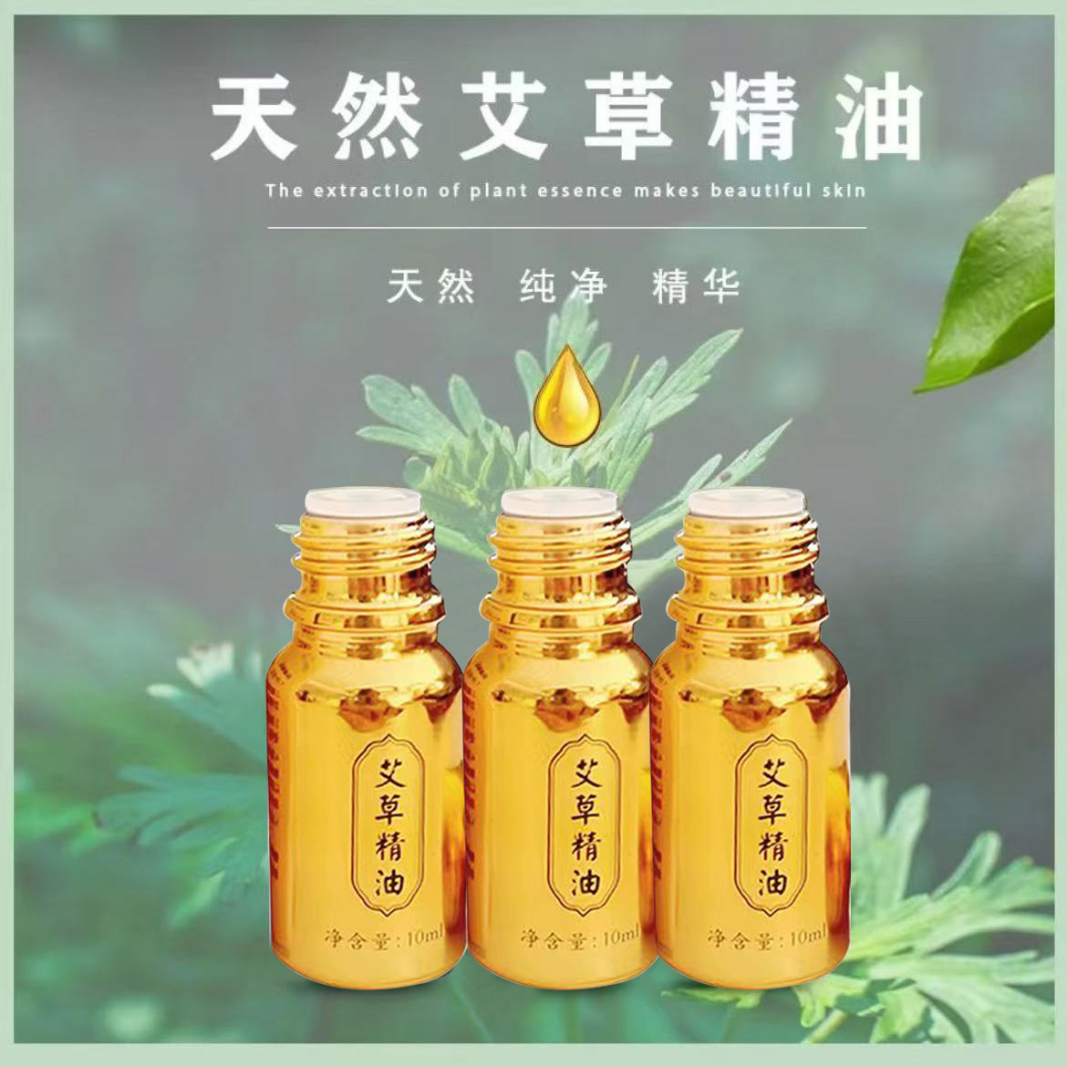 复方艾草艾灸刮痧按摩精油