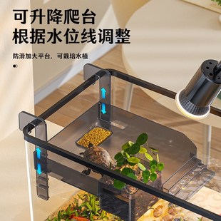 乌龟饲养缸小型乌龟缸家用客厅螃蟹生态缸鱼缸过滤制氧一体机