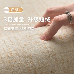 奶油风高级家用防水现代简约隔音 可擦洗地毯客厅卧室房间2025新款
