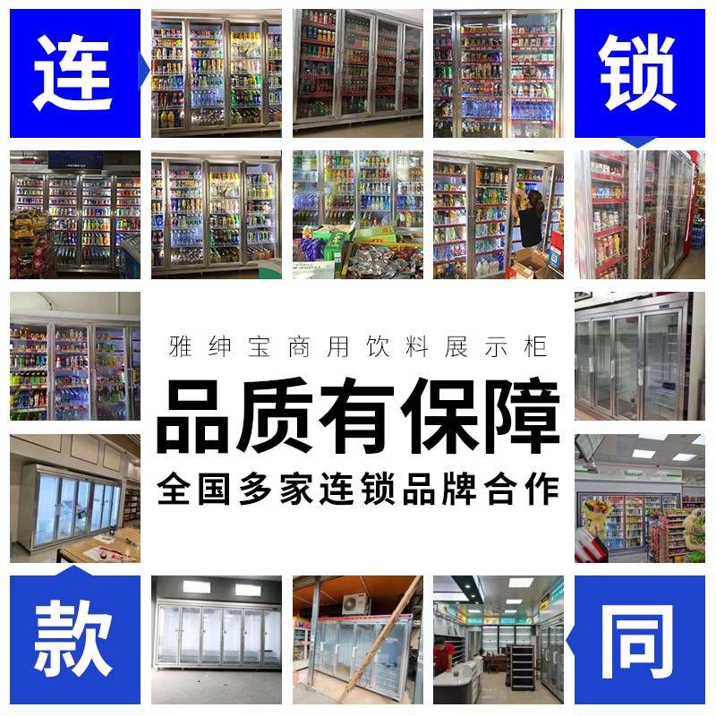 雅绅宝便利店饮料展示柜商用双门立式冷藏柜鲜花保鲜柜啤酒风冷柜