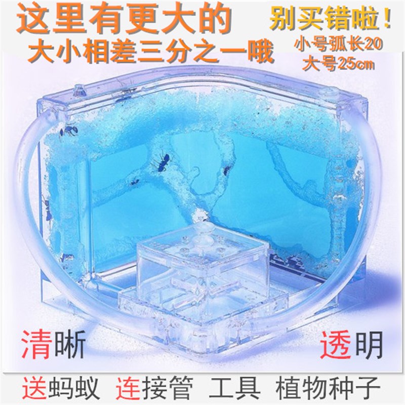 可选大小宠物玩具蚂蚁工坊生态巢超大城堡庄园屋别墅家园观察蚁后