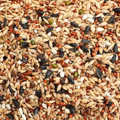 2020新粮20斤清除饲料幼鸽观赏鸽斑鸠等换毛期专用营养粮19省包邮