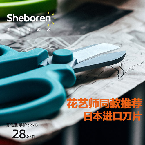 花艺剪刀园艺剪子盆景修剪果树修枝剪树枝剪鲜花专用家用园林工具