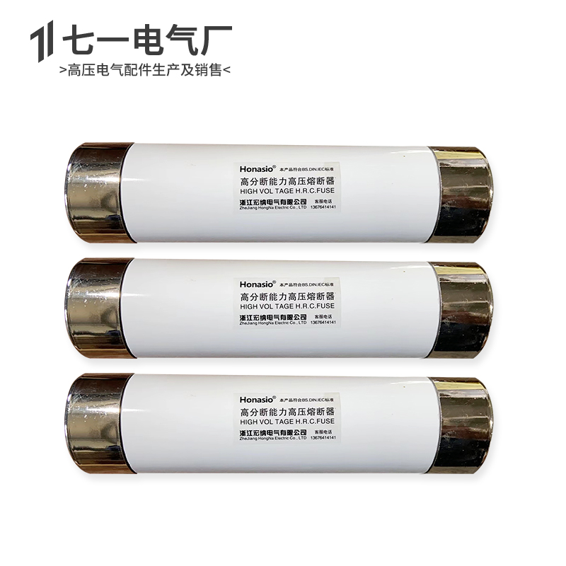 50x195 XRNP1高压熔断器保险熔管PT电压流互感器XRNT 6.3A 10安16