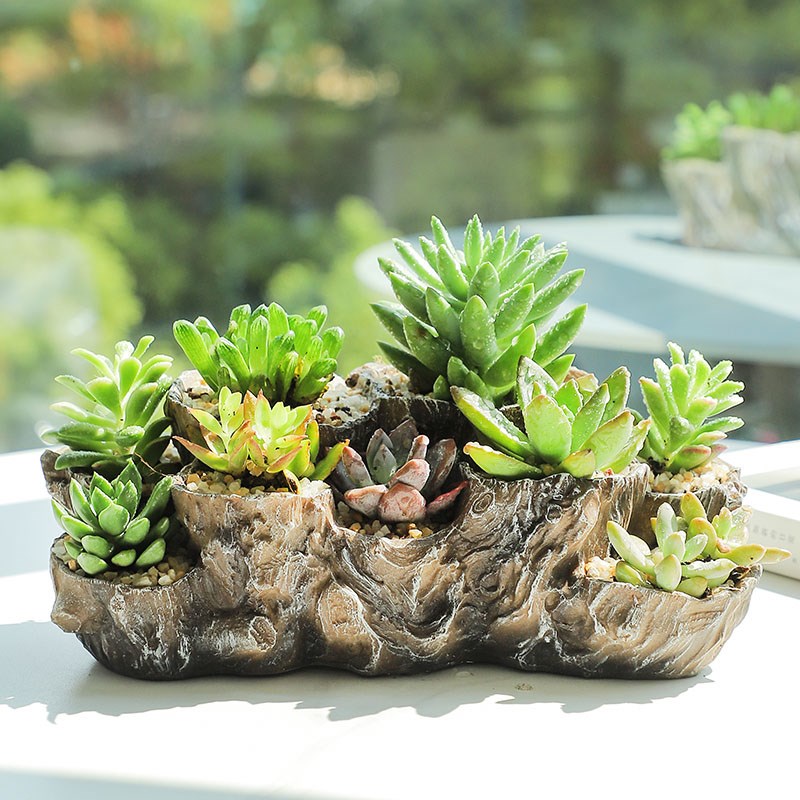 创意长方形多口树根花盆根雕枯木中大号口径仿木阳台客厅多肉肉盆