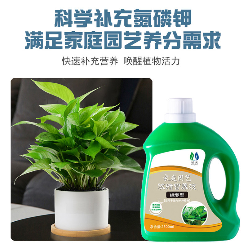 绿萝营养液肥料专用肥植物盆栽家用吊兰发财树土水培养花通用花肥