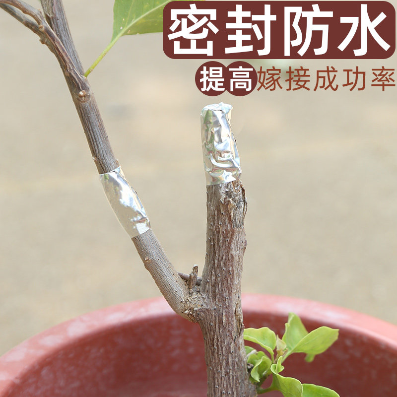 树木伤口愈合贴嫁接封口胶伤口愈合剂植物盆景锡纸防腐树苗切口贴,鲜花速递/花卉仿真/绿植园艺,其它园艺用品,淘宝优惠券,粉丝福利购,淘宝优惠卷