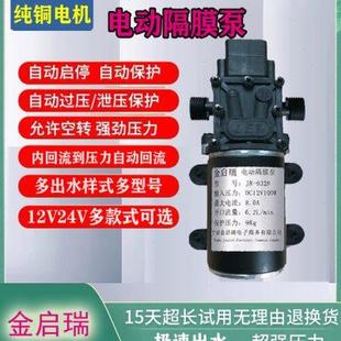 24V微型增压泵自吸抽水喷雾器水泵清洗机直流高压电动隔膜泵