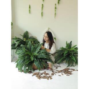 采购产品模拟绿色植物，园林绿化植物，假的经典可及的豪华经典彷