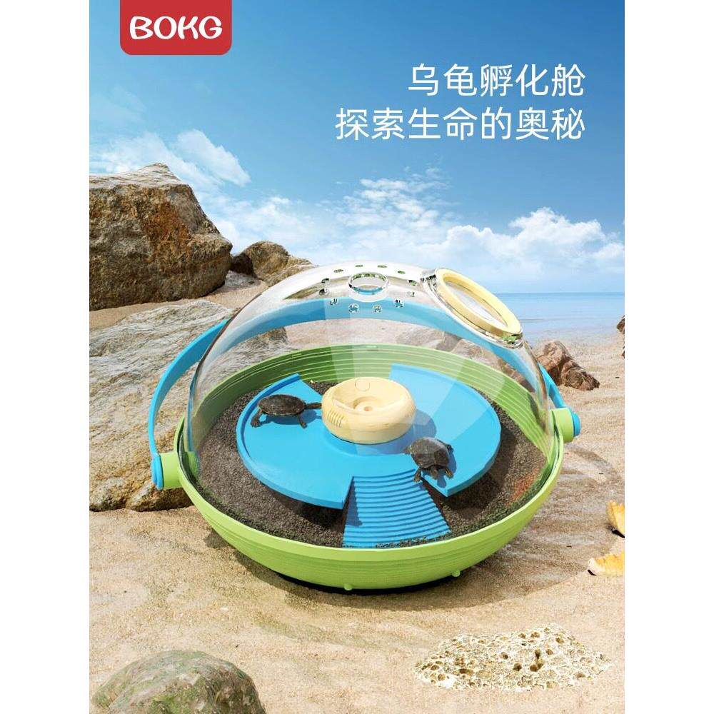 乌龟蛋可孵化舱小乌龟豪华大别墅生态饲养盒缸爬台晒台乌龟蛋孵化