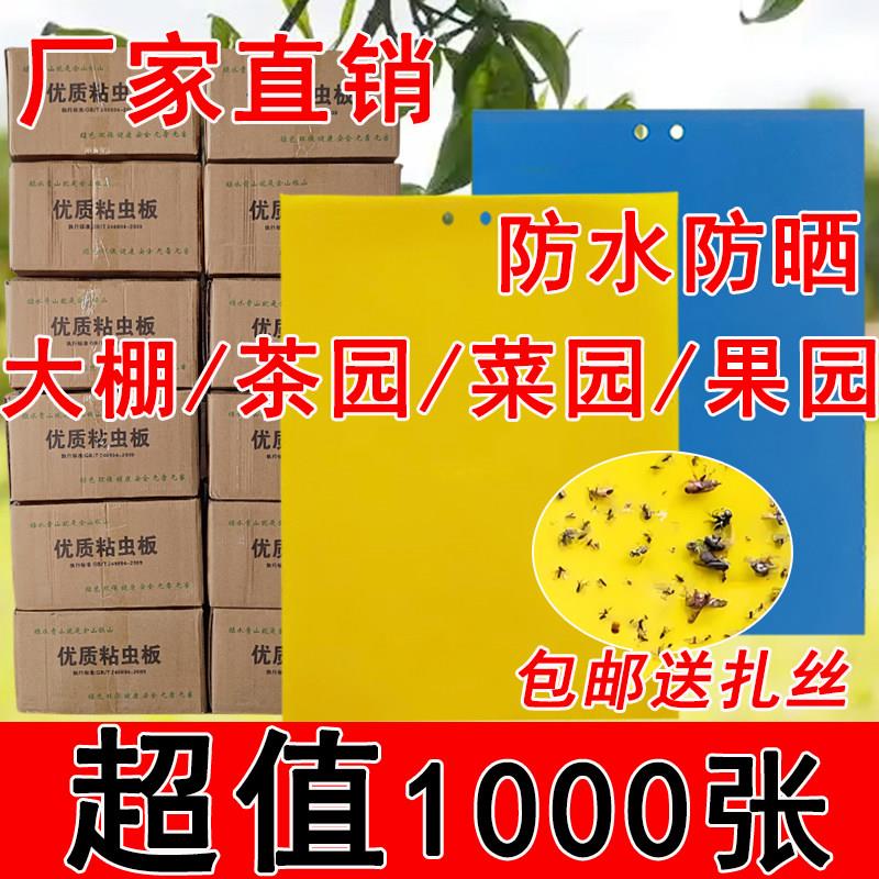 粘虫板黄板双面粘虫板诱虫板蓟马蓝板大棚茶园果树白粉虱粘虫板