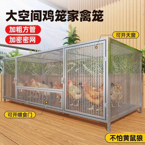 鸡笼子家用室外特大号防黄鼠狼密网防雨农村鸡笼子自动清粪养殖笼