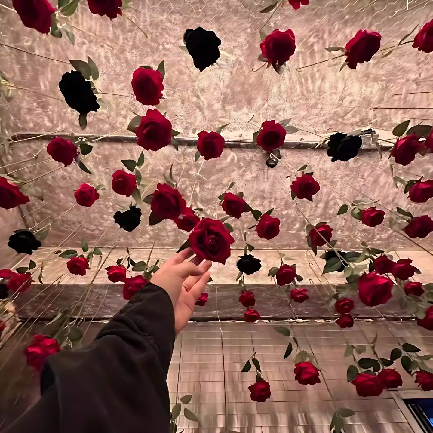 玫瑰花拍照打卡咖啡厅情人节氛围布置仿真绒布玫瑰花墙落地悬挂,节庆用品/礼品,婚房布置套装,淘宝优惠券,粉丝福利购,淘宝优惠卷