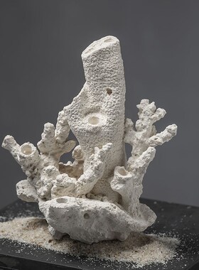 FOT陶瓷工艺人工死石高透水培菌海缸人工珊瑚石鱼缸造景装饰摆件